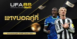 แทงบอลคู่คี่